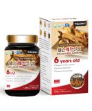  WELSON RED GINSENG 