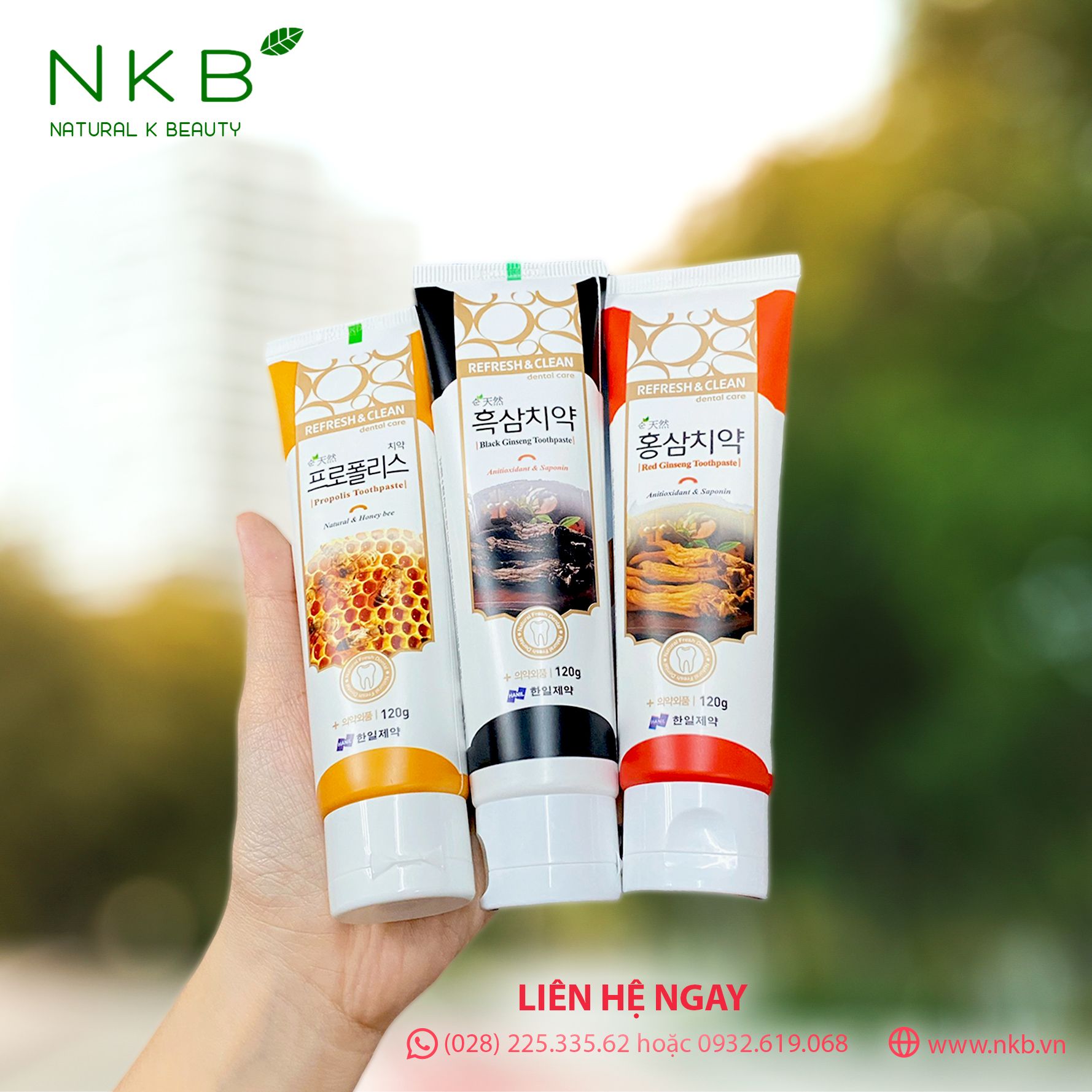  REFRESH & CLEAN PROPOLIS TOOTHPASTE - Kem Đánh Răng Keo Ong (Best seller) 