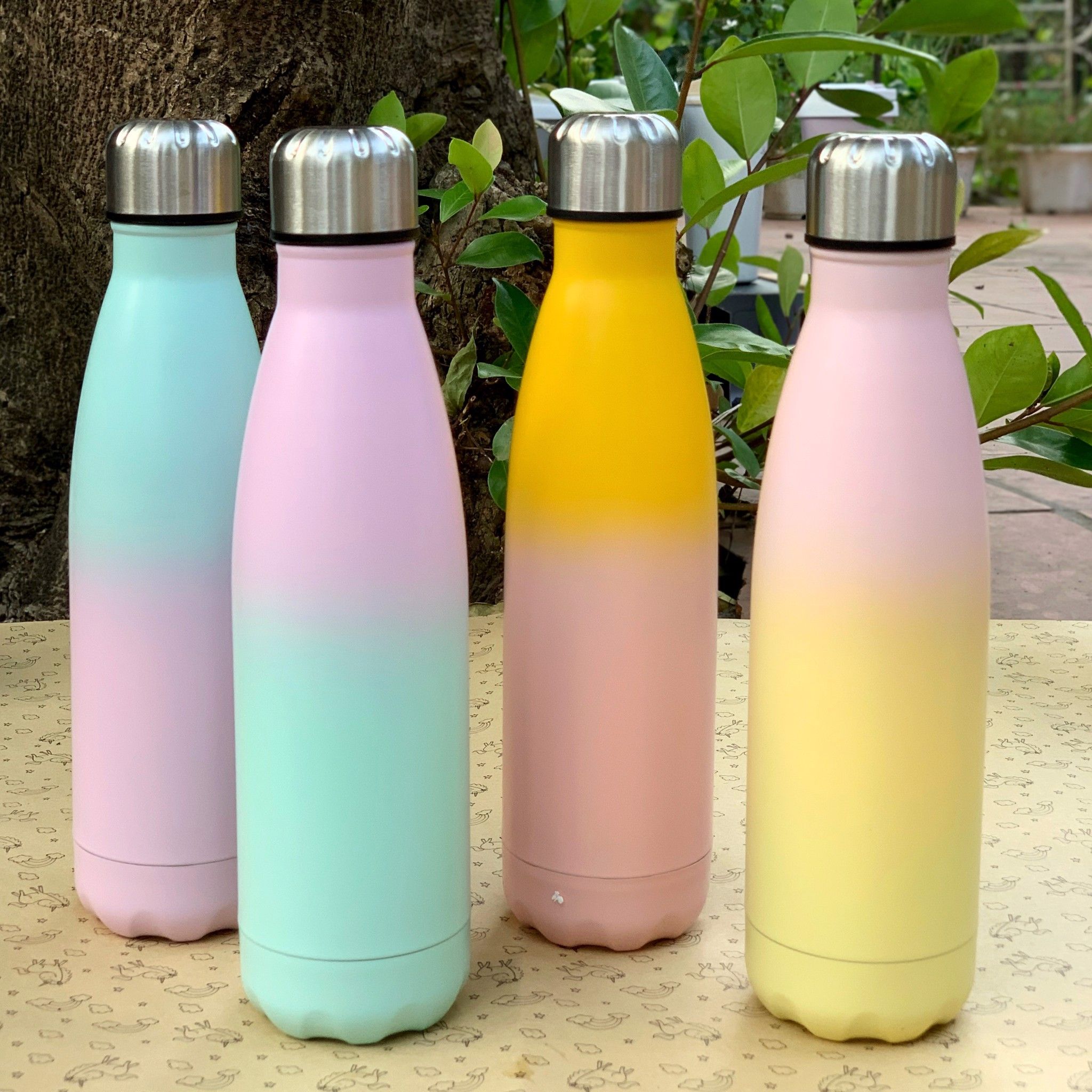 Bình giữ nhiệt Pastel (500ml)