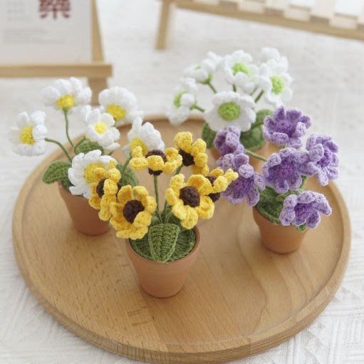 Chậu Hoa Cúc Đan Len