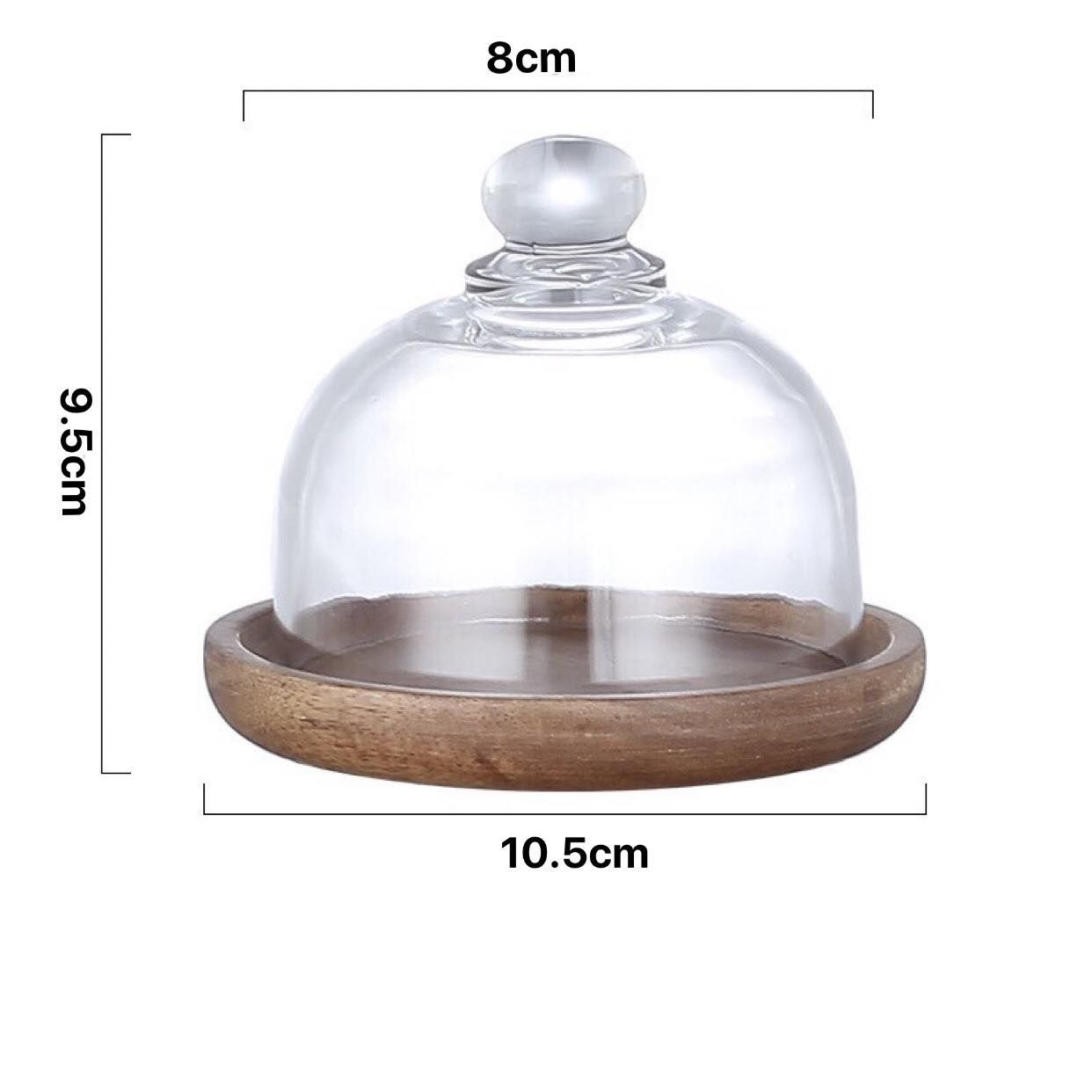 Chụp Thủy Tinh Mini