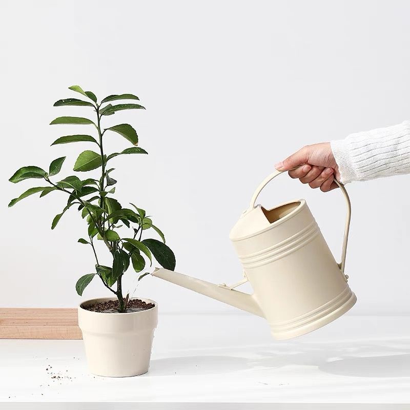 Bình Tưới Hoa Dạng Phun Gardening