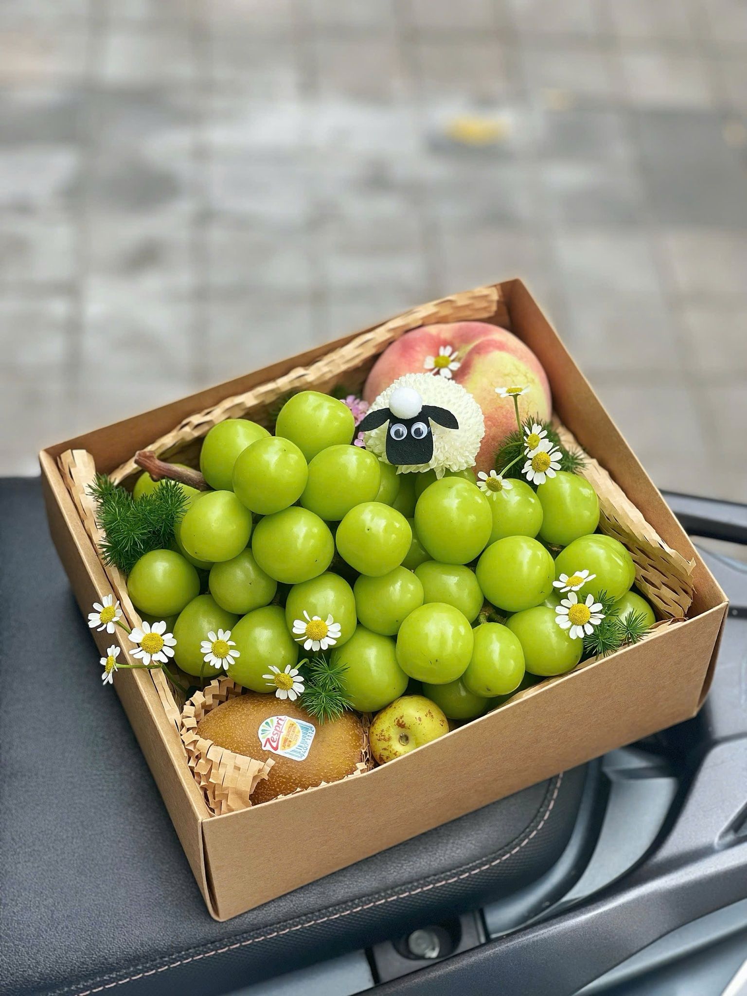 Box Con Cừu Và Chùm Nho Xanh
