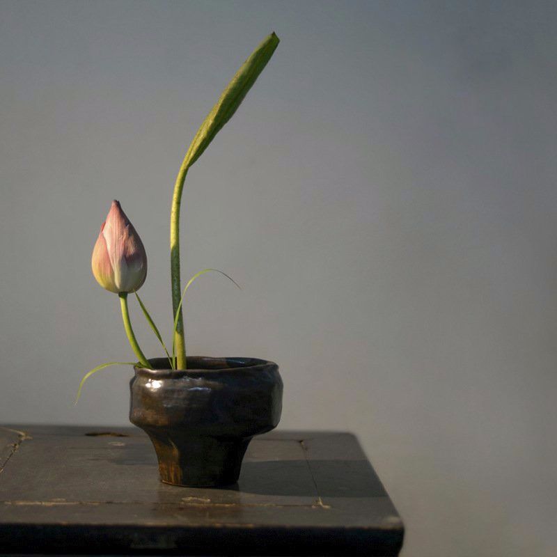 Bát Ikebana Lục Bình