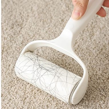 Cây Lăn Vệ Sinh Quần Áo