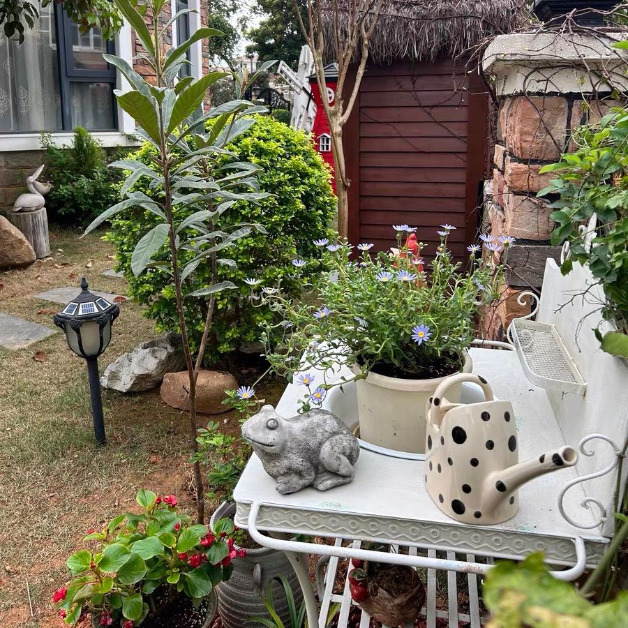 Bình Tưới Cây Gốm Sứ