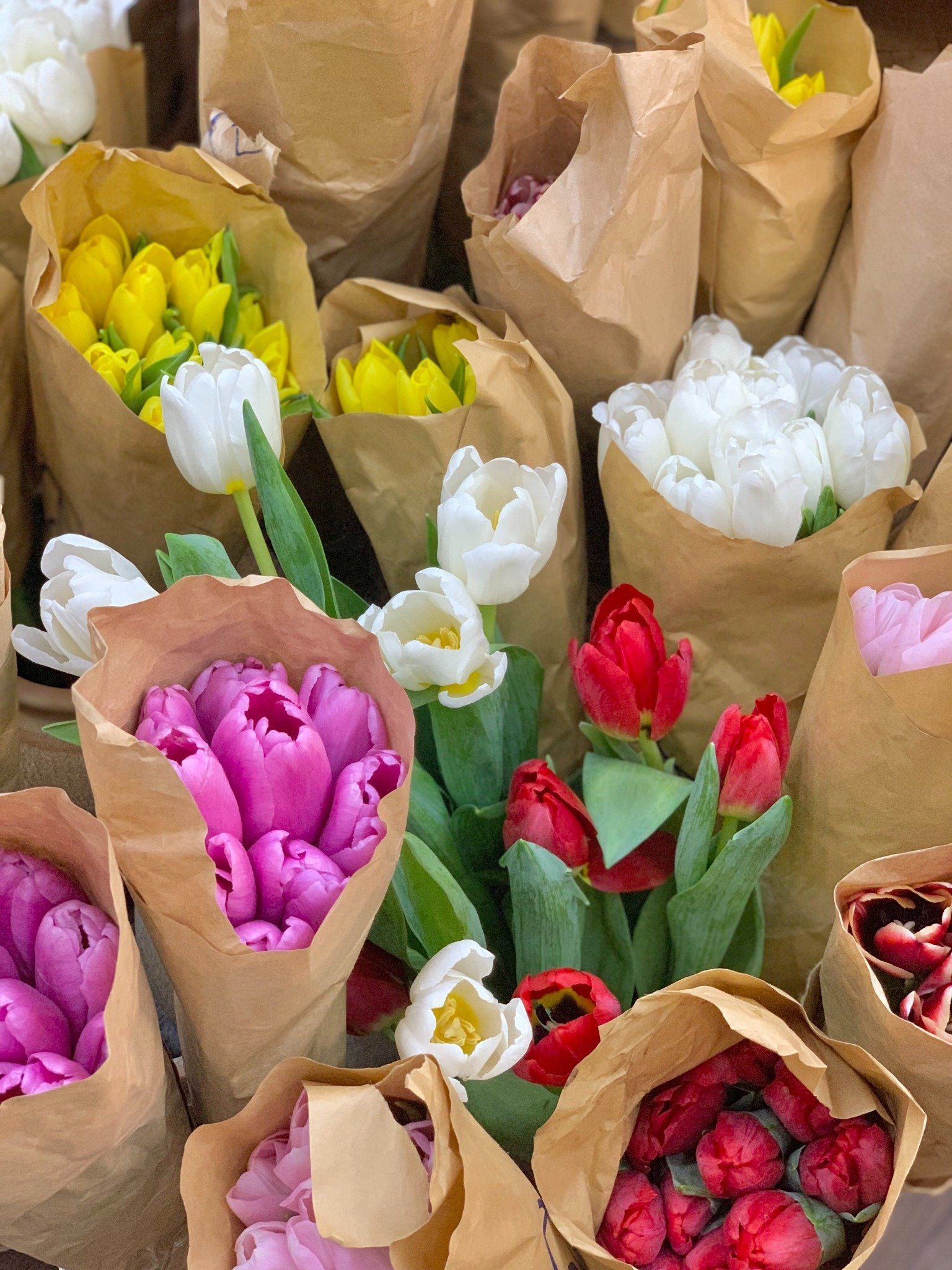 (HANOI ONLY) Hoa Tulip Trung 20/10