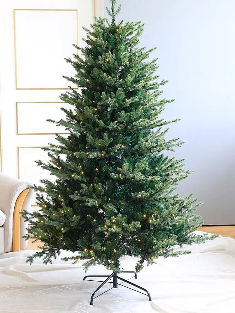 Cây Thông Noel