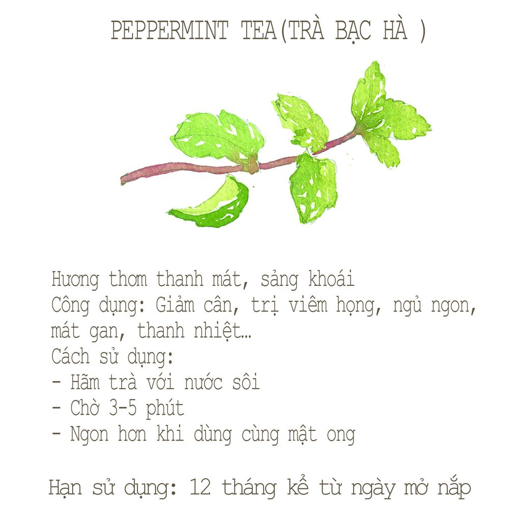 Trà Bạc Hà