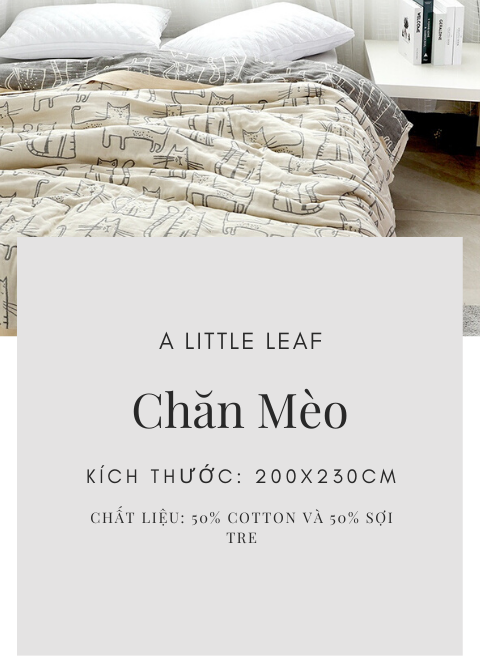 Chăn Mèo