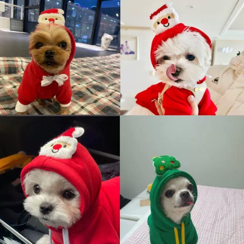Bộ Suit Choàng Cho Thú Cưng