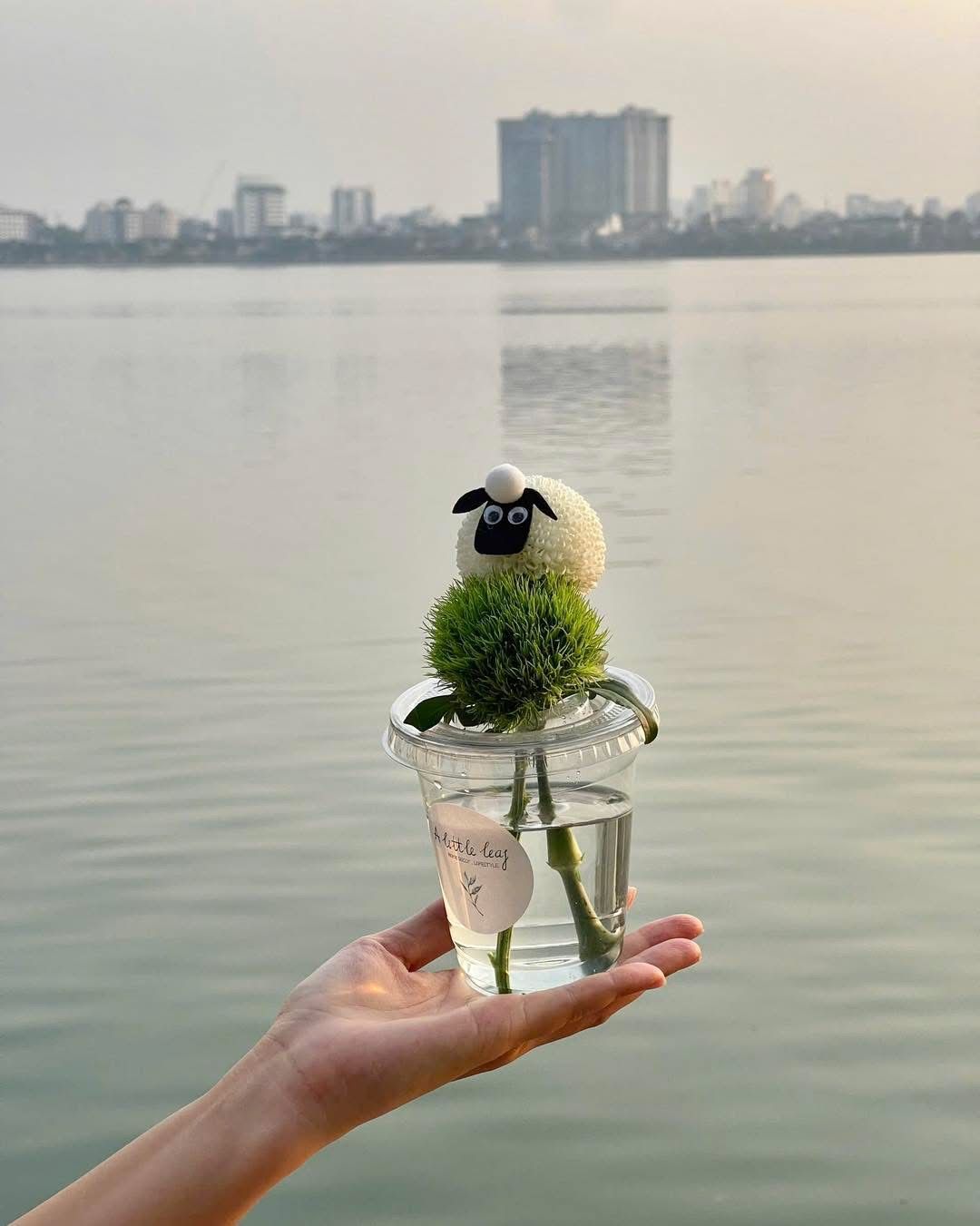 Cốc Hoa Cừu Nhỏ Vui Vẻ