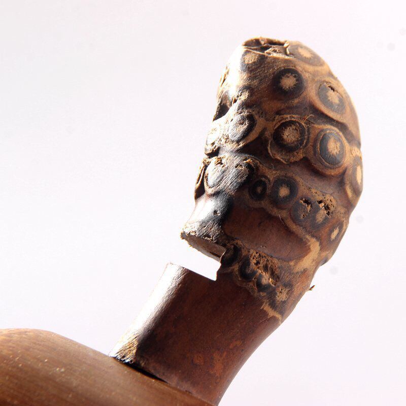 Lọc Trà Tre