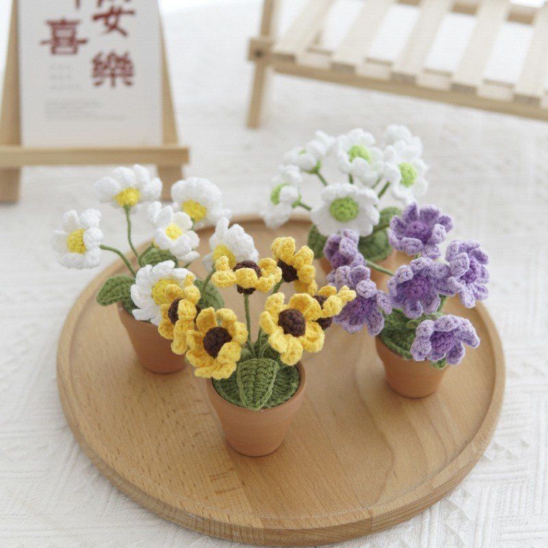Chậu Hoa Cúc Đan Len