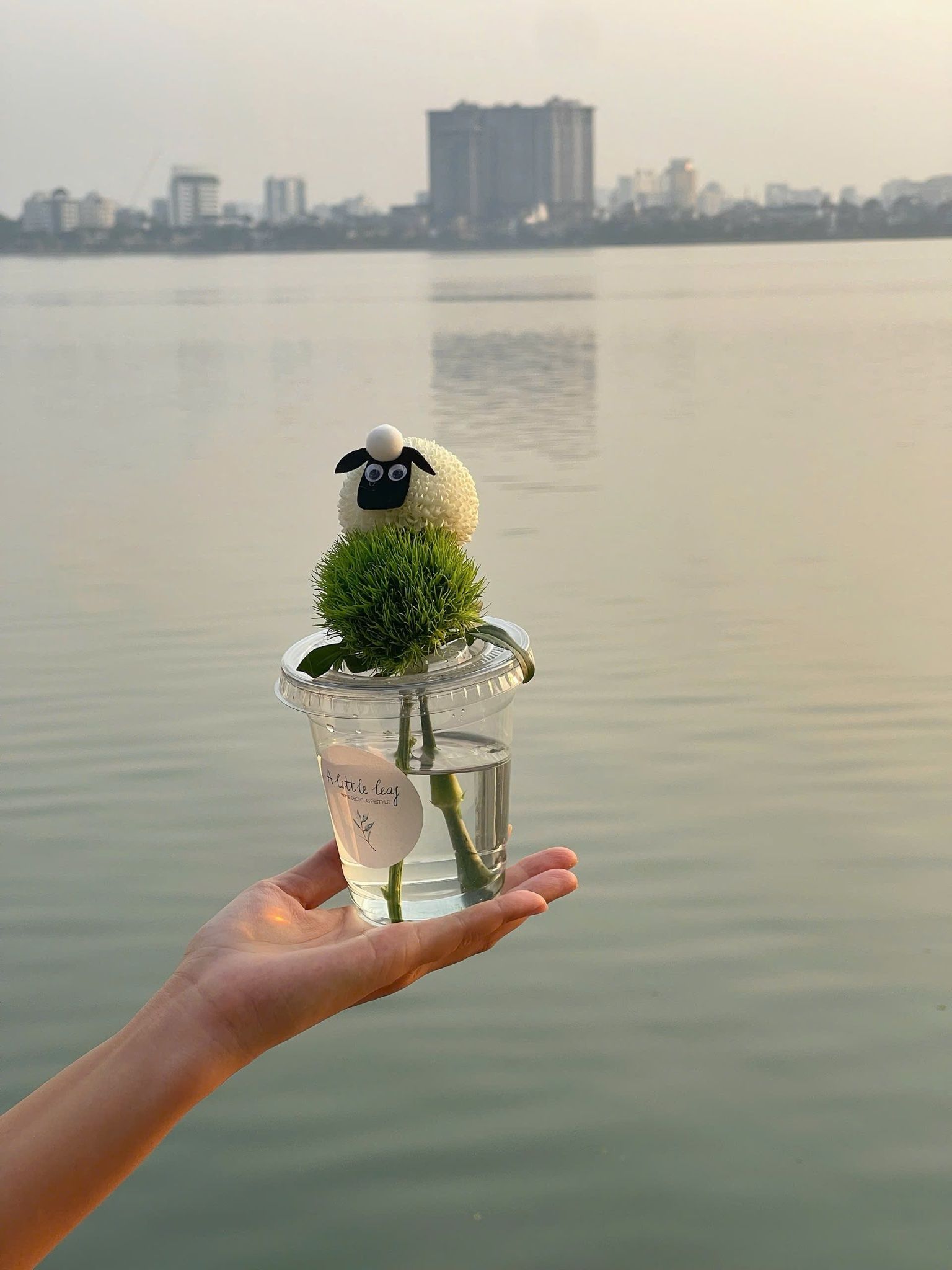 Cốc Hoa Cừu Nhỏ Vui Vẻ