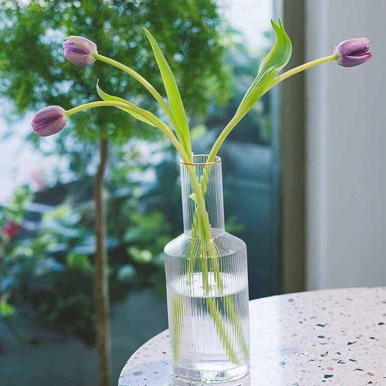 Bình cắm hoa thủy tinh Bottle