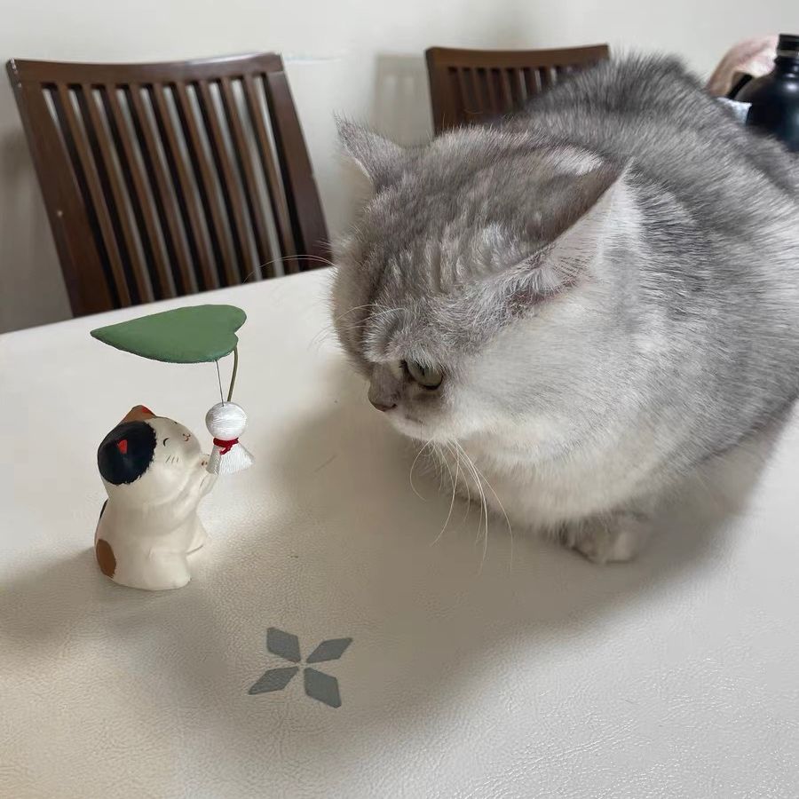 Tượng Mèo Teru Teru Bozu