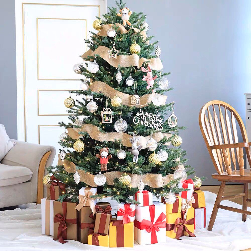 Cây Thông Noel
