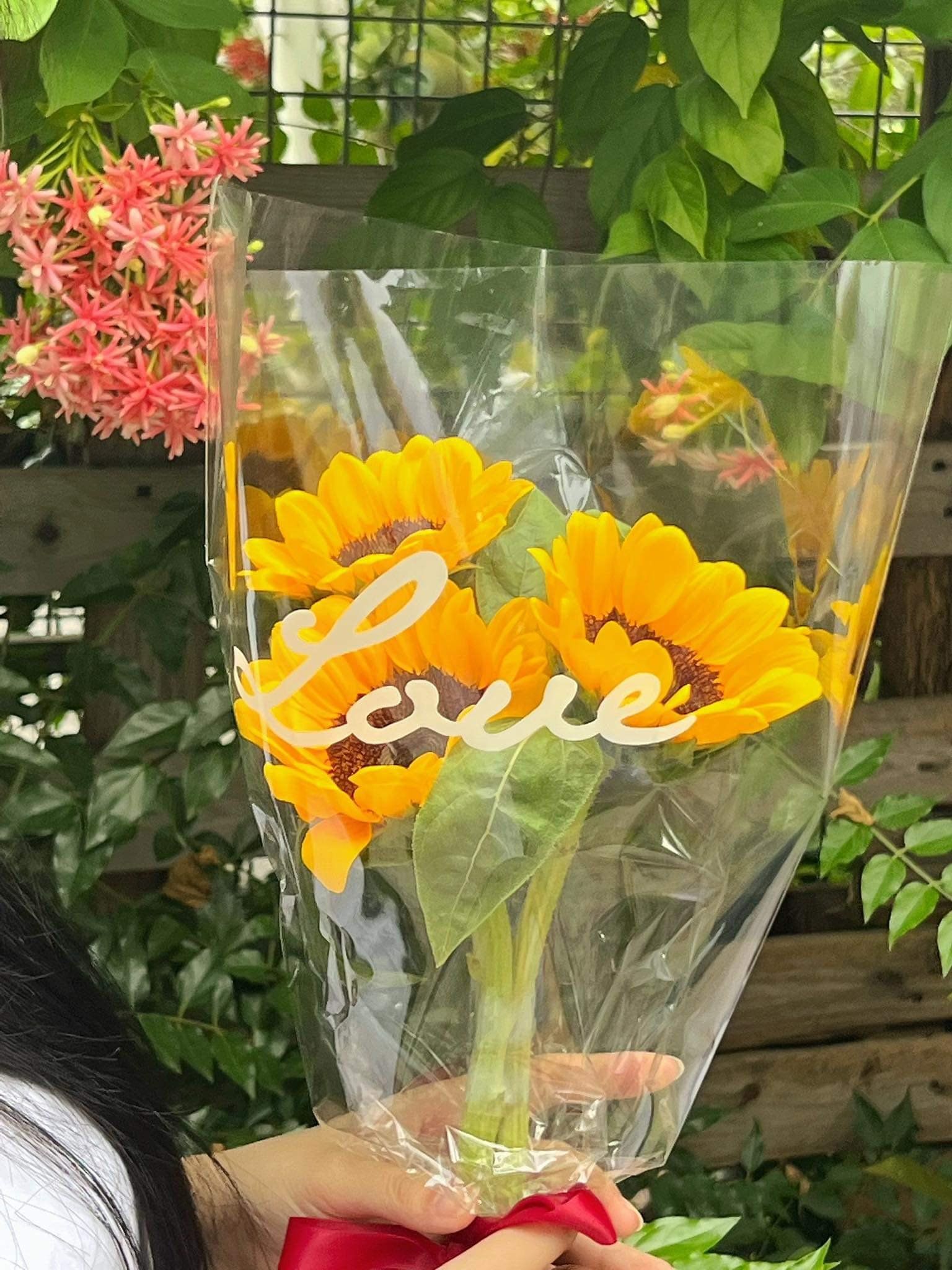 Bó Hướng Dương 3 Bông