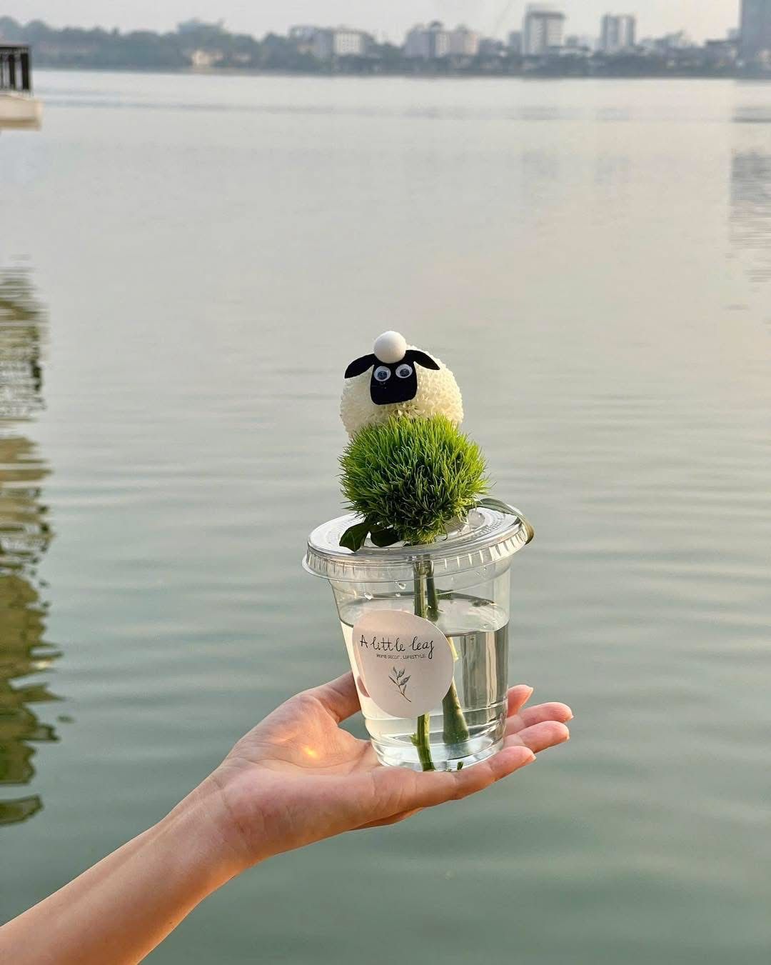 Cốc Hoa Cừu Nhỏ Vui Vẻ