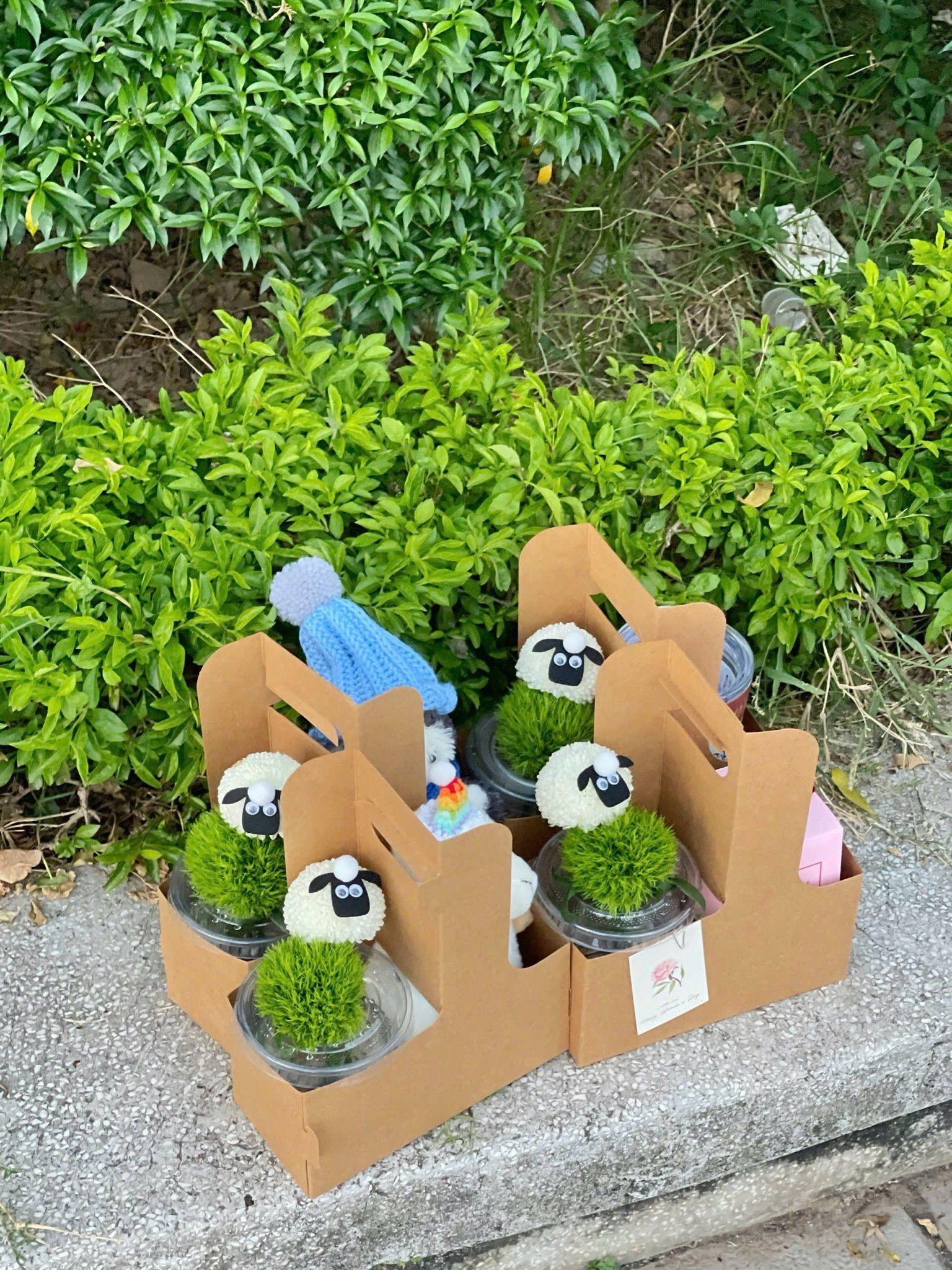 Cốc Hoa Cừu Nhỏ Vui Vẻ