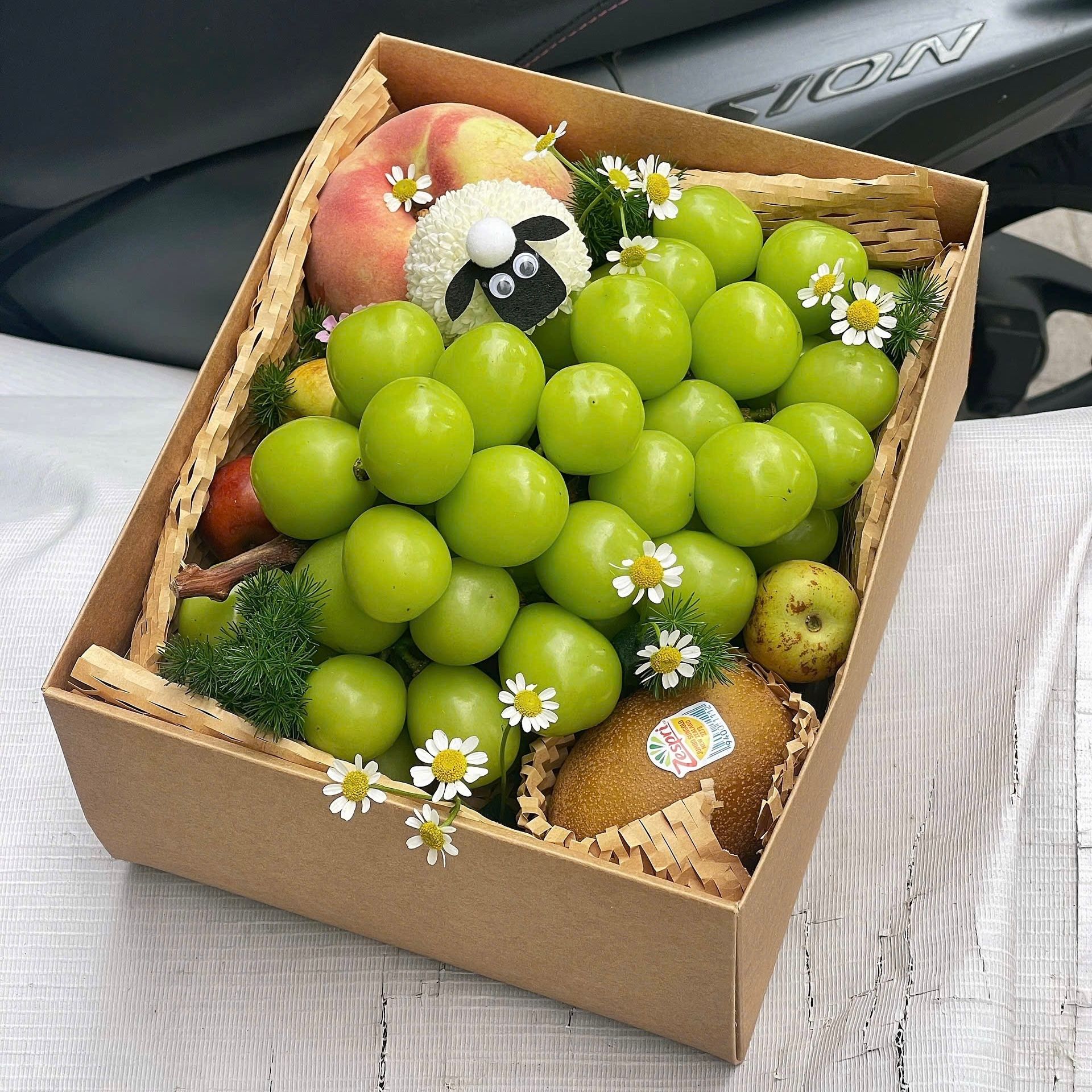 Box Con Cừu Và Chùm Nho Xanh