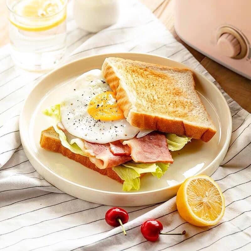 Máy Nướng Bánh Mì Pastel