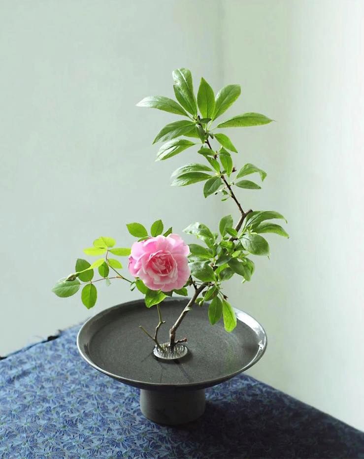 Bàn chông cắm hoa Ikebana