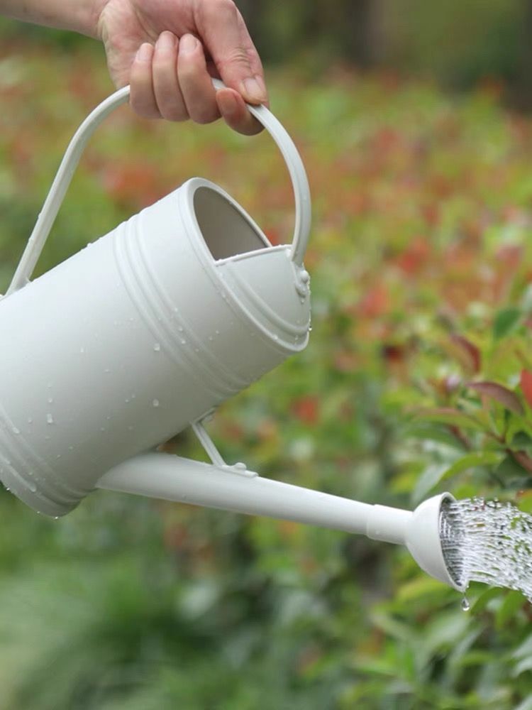 Bình Tưới Hoa Dạng Phun Gardening