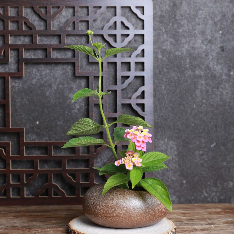 Bình Gốm cắm hoa Japan