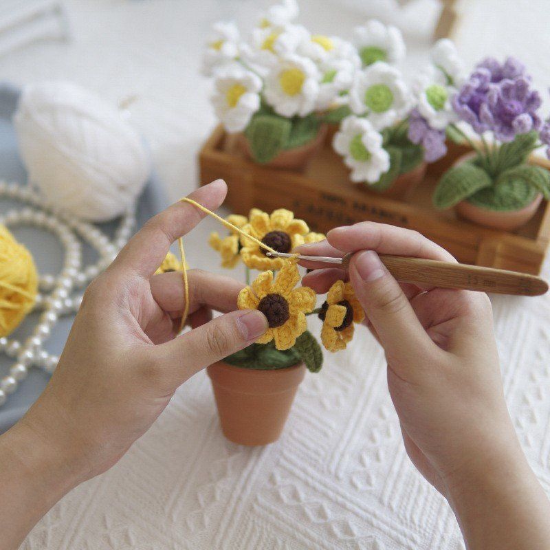 Chậu Hoa Cúc Đan Len