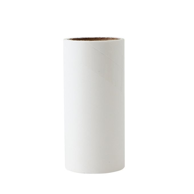 Cây Lăn Vệ Sinh Quần Áo