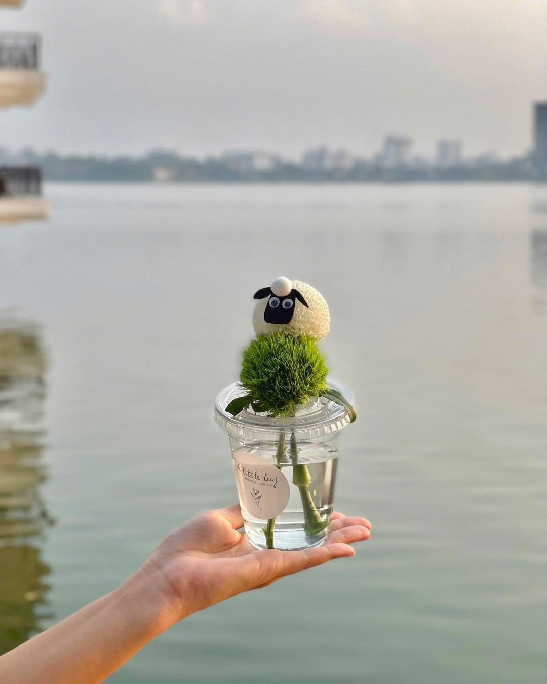 Cốc Hoa Cừu Nhỏ Vui Vẻ