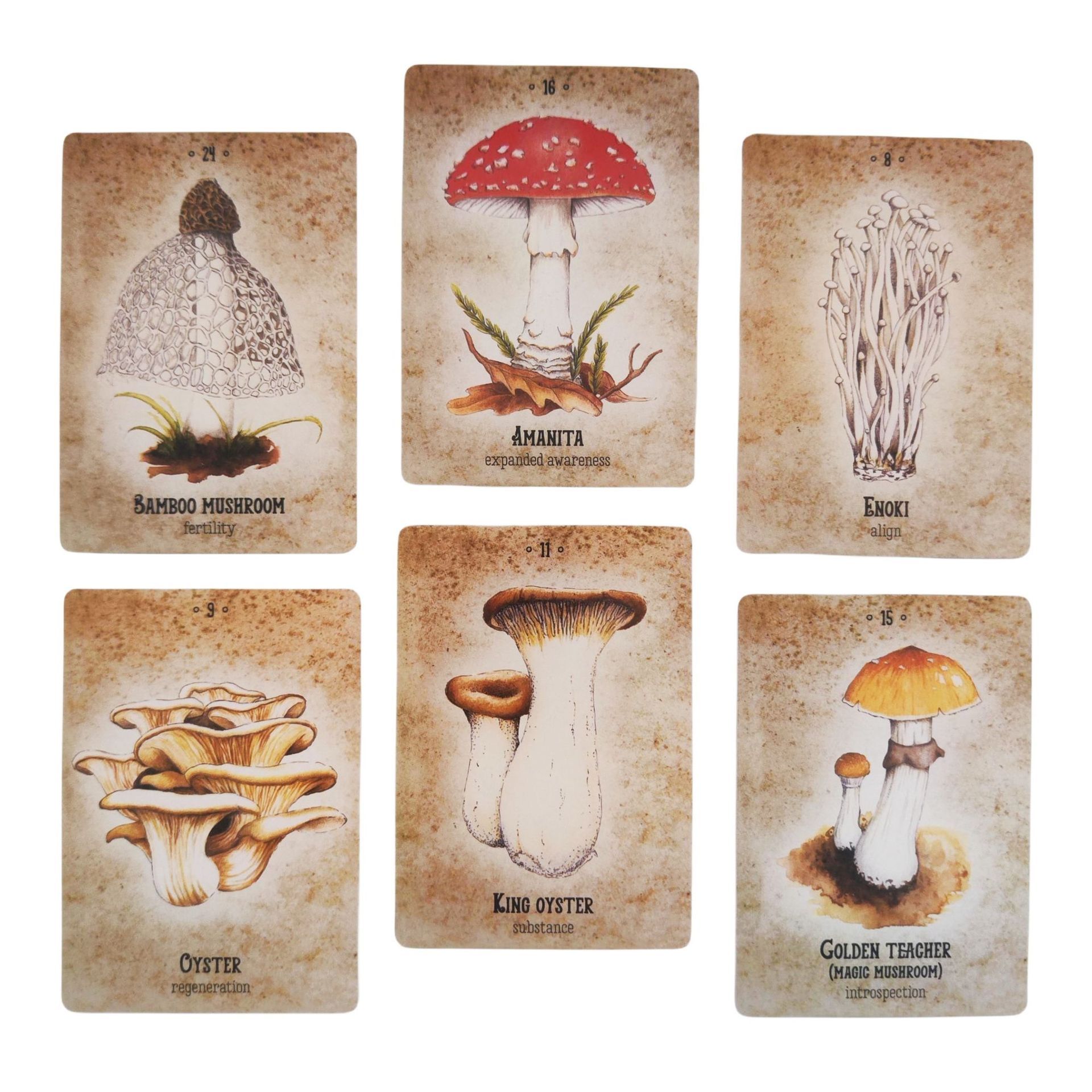Bài Mushroom Spirit Oracle