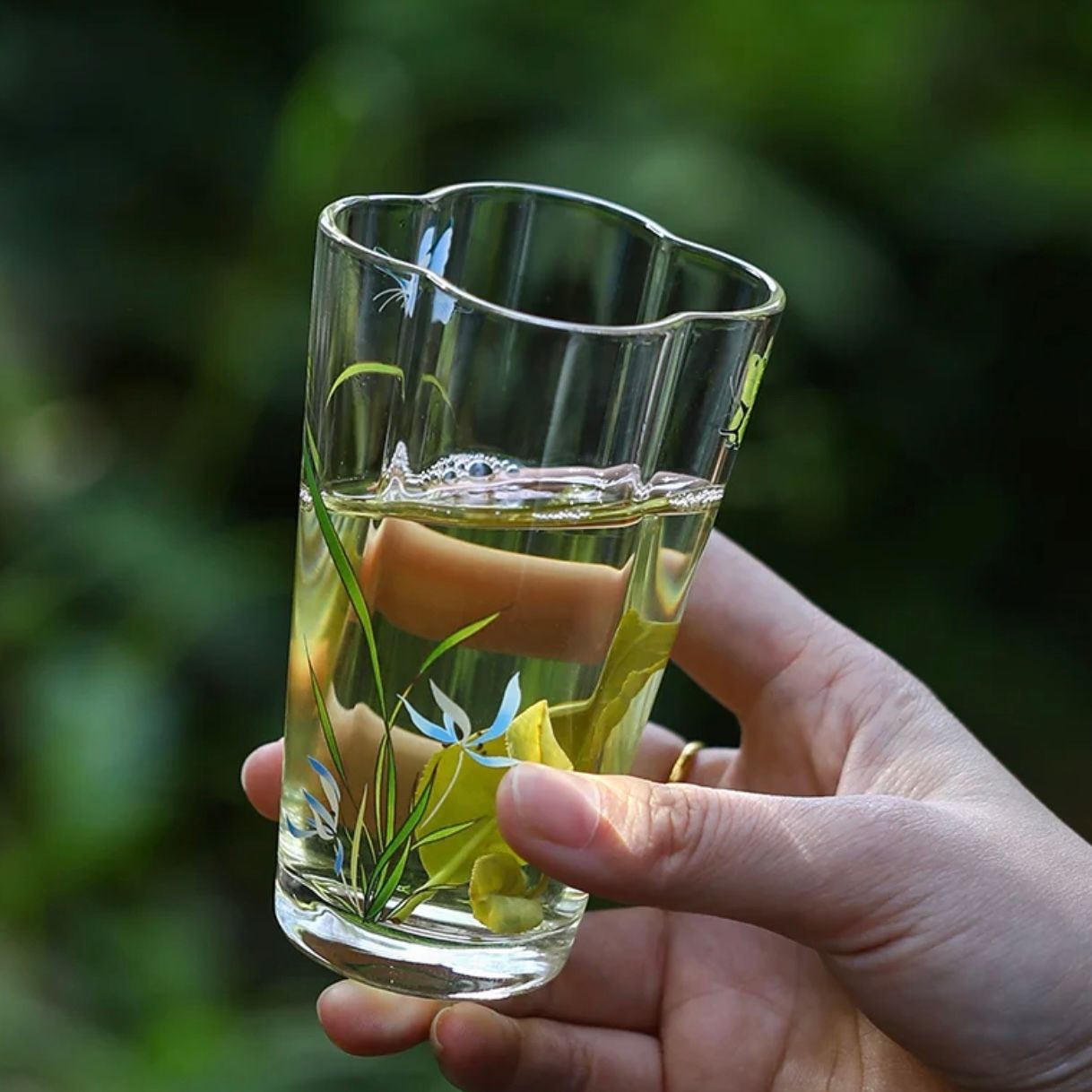 Tách Trà Bướm Phong Lan