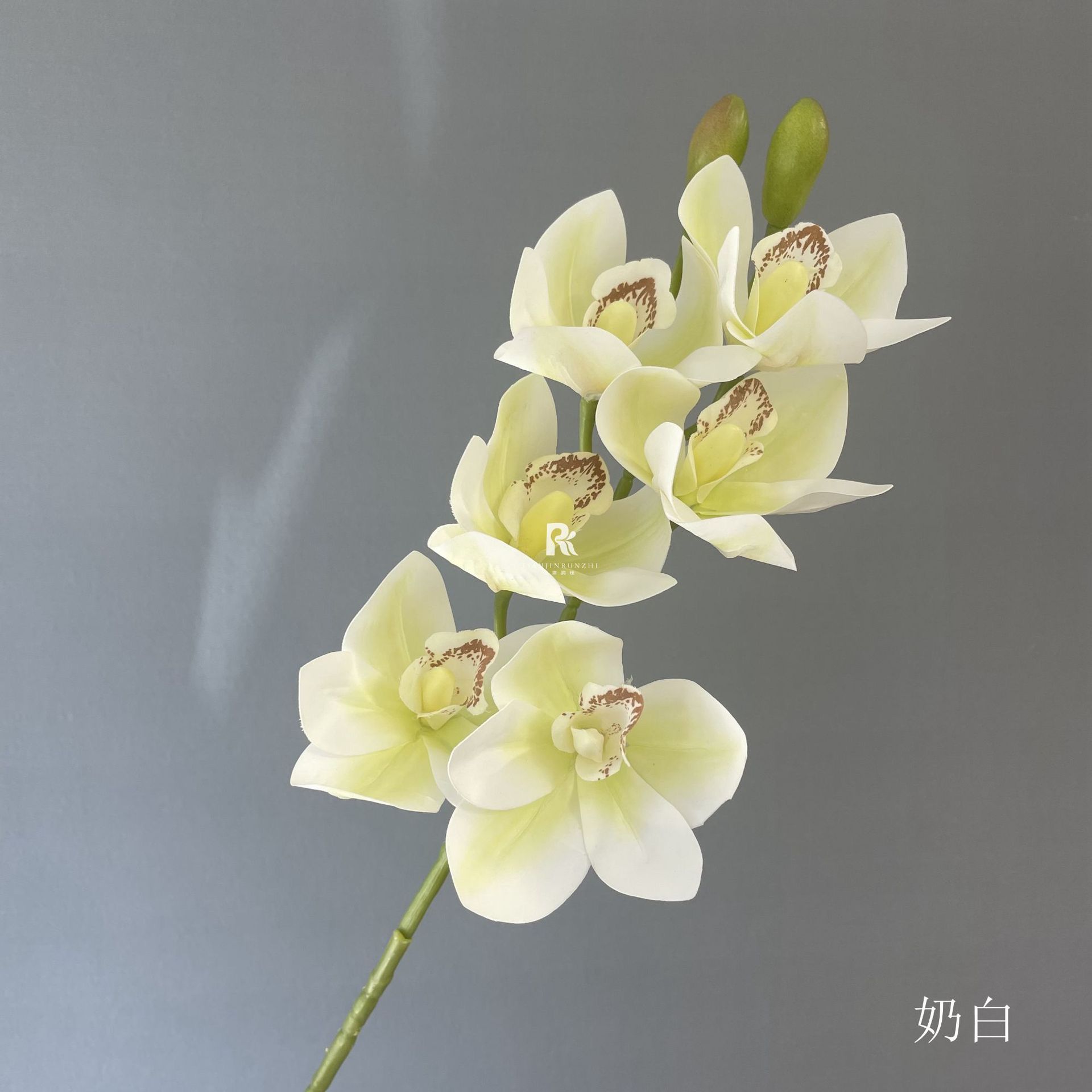 Cành Hoa Địa Lan Cao Cấp