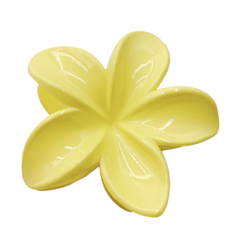 Kẹp Hoa Sứ Pastel