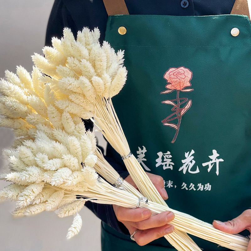 Hoa Khô Cỏ Tự Nhiên