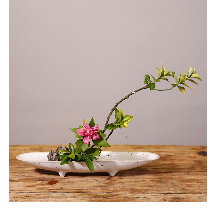 Thuyền Ikebana