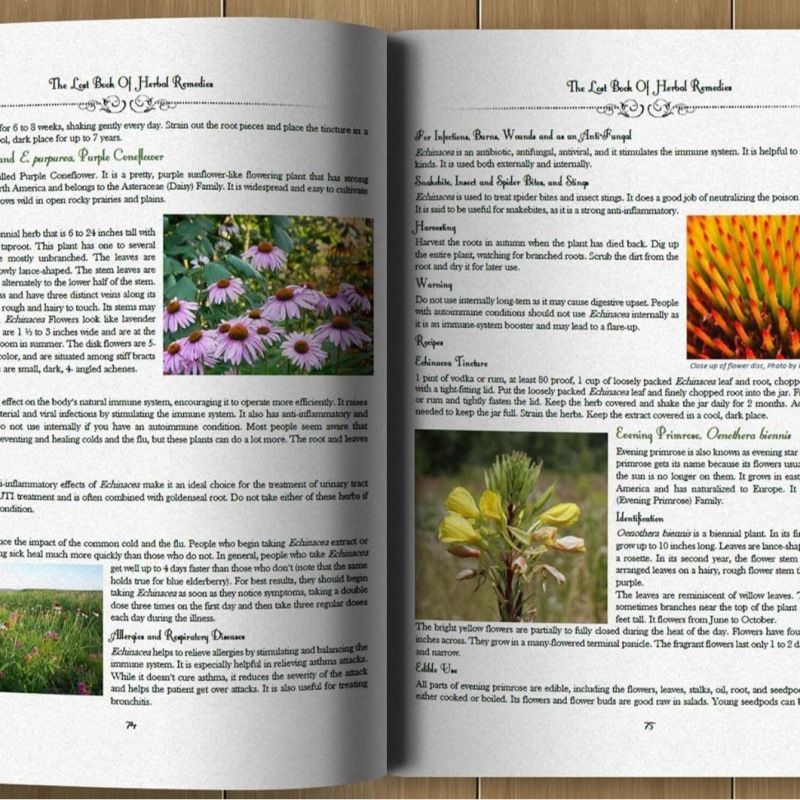 Sách The Lost Book Of Herbal Remedies