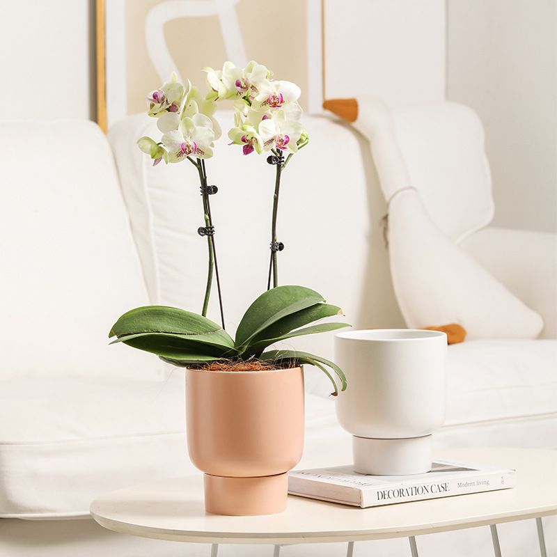 Chậu Cây Gốm Bắc Âu