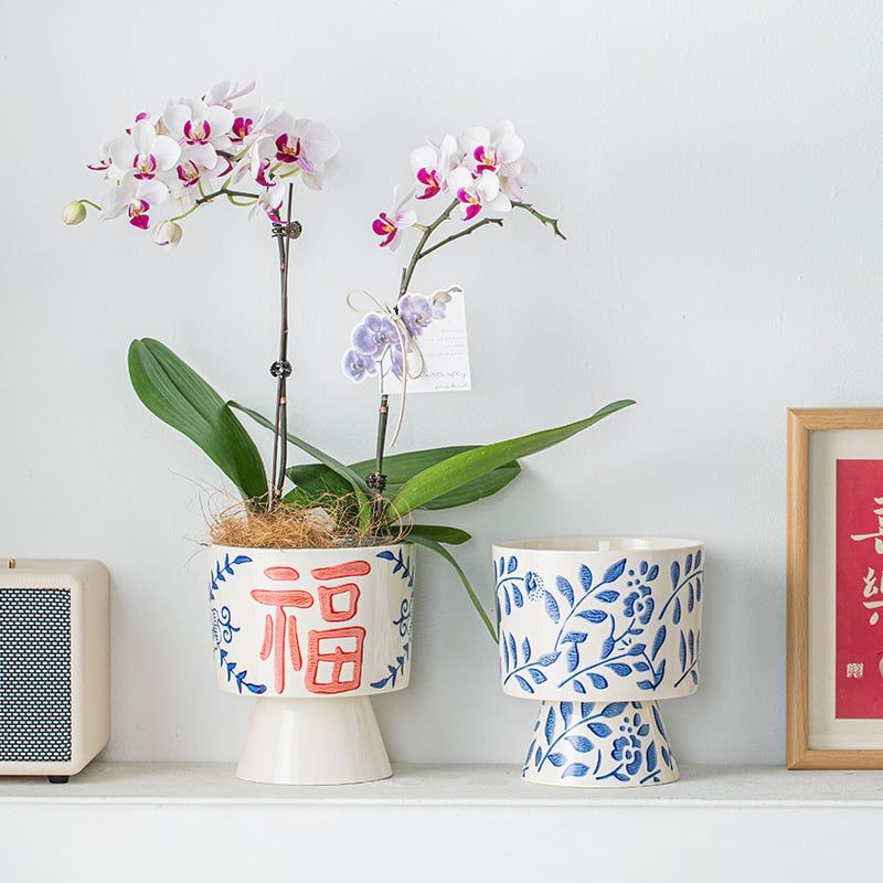 Chậu Gốm Sứ Hoa Xanh