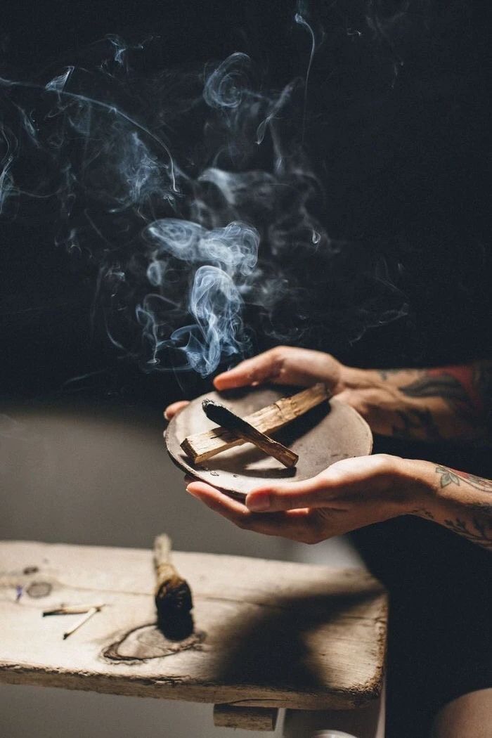 Gỗ Palo Santo