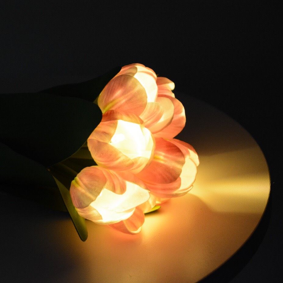 Bó Hoa Đèn Tulip