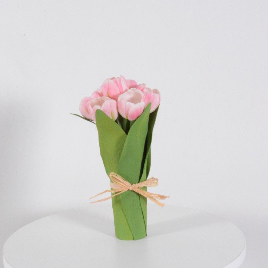 Bó Hoa Đèn Tulip
