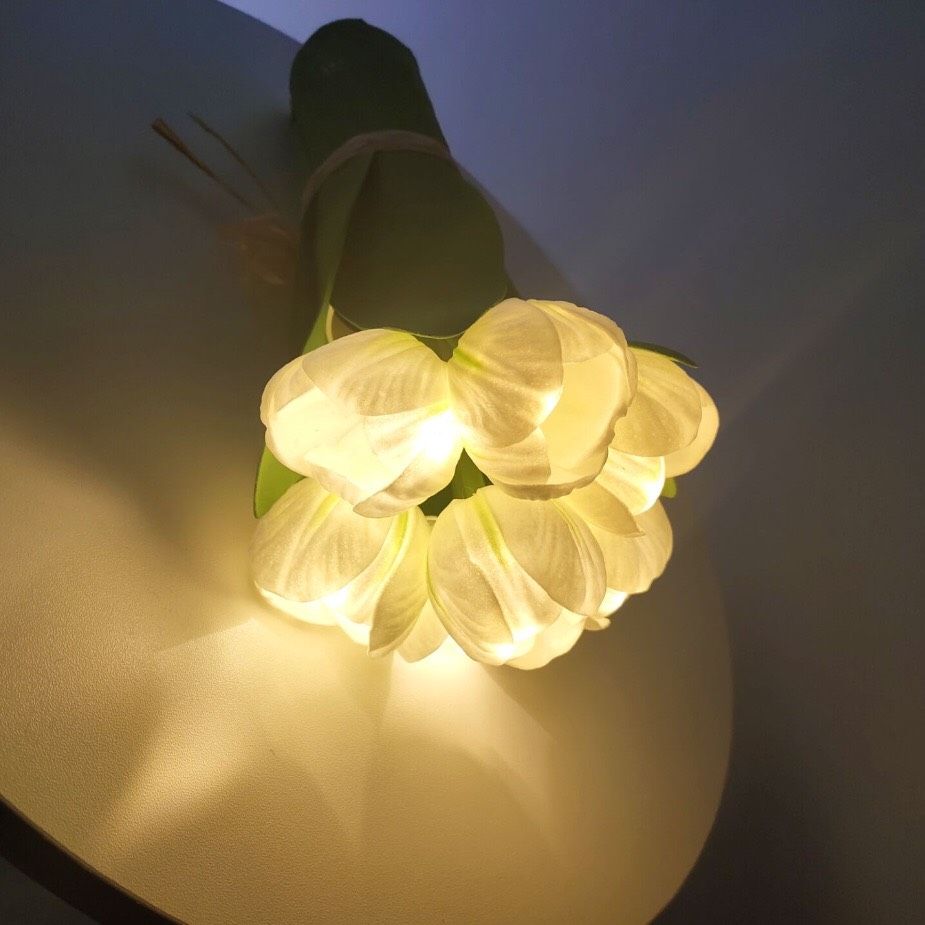 Bó Hoa Đèn Tulip