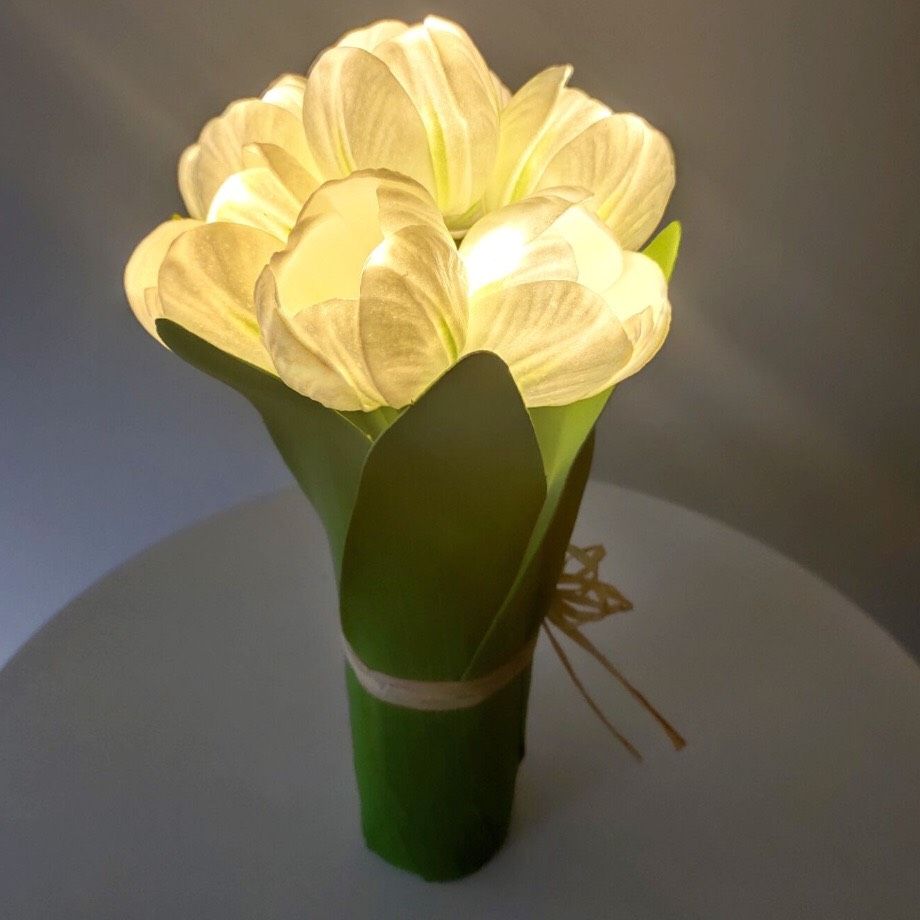 Bó Hoa Đèn Tulip