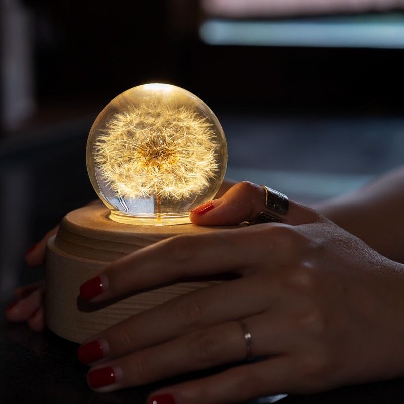 Hộp Nhạc Bồ Công Anh