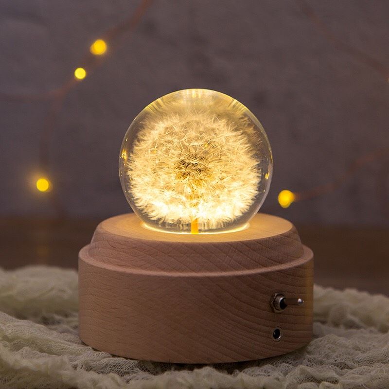 Hộp Nhạc Bồ Công Anh