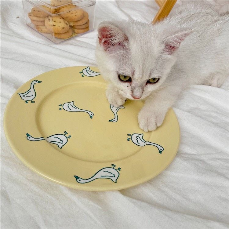 Set Bát Chú Vịt Vàng